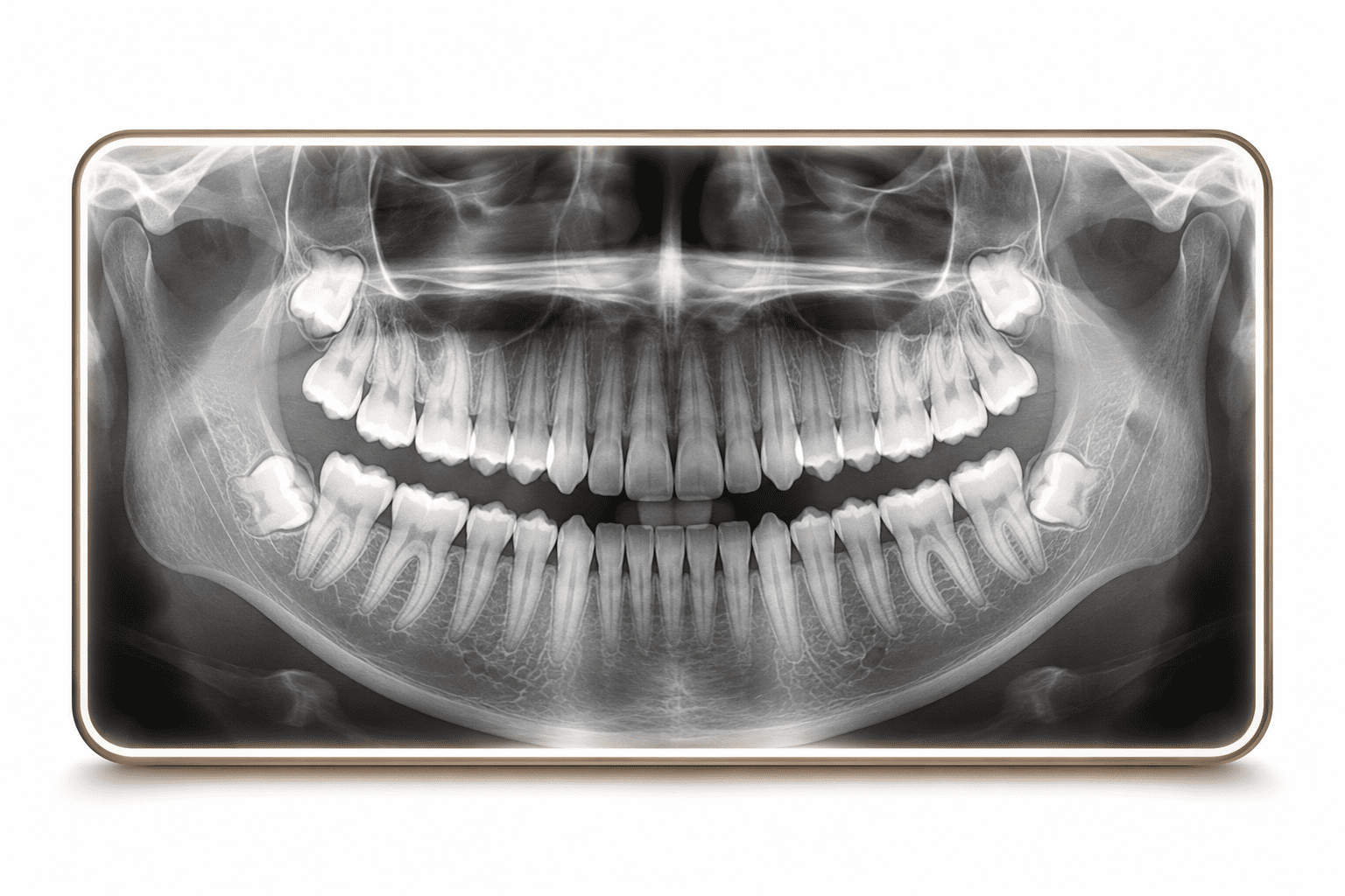 Digital Xray Diagnostics 12 ChatGPT Image May 28 2026 07 09 54 AM